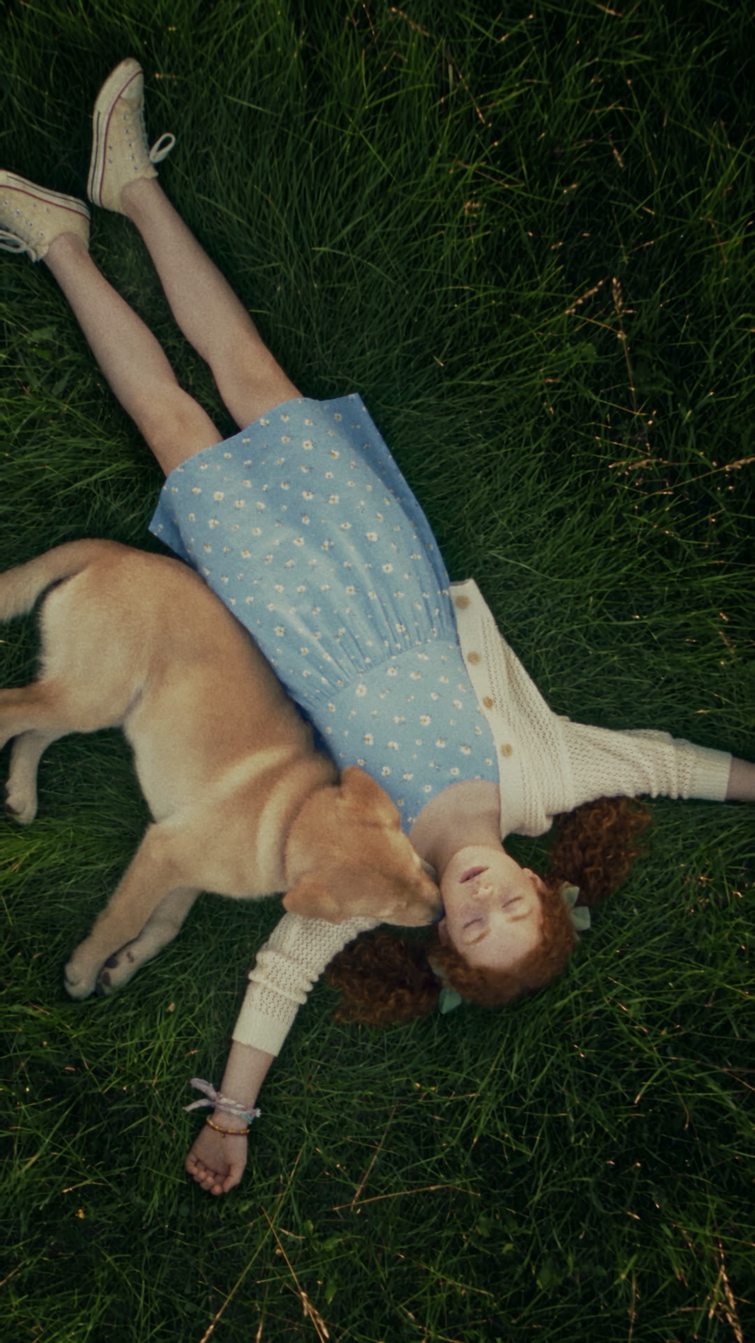 Paws & Co — vertical
